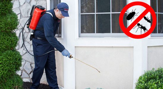 Ayancık Dezenfeksiyon böcek ilaçlama ve haşere kontrolü — ilaclama-tr.com